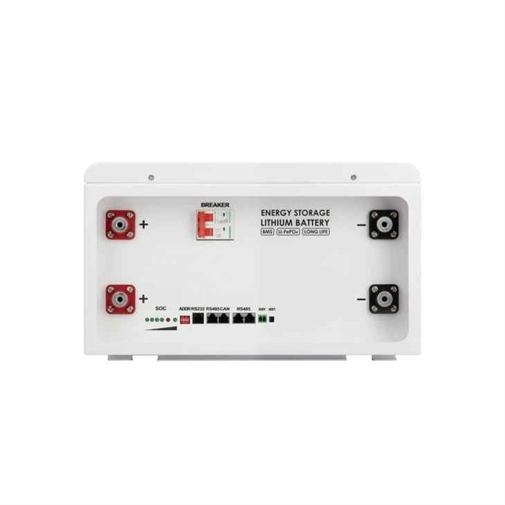 48V 100AH Powerbank Lifepo4 Battery